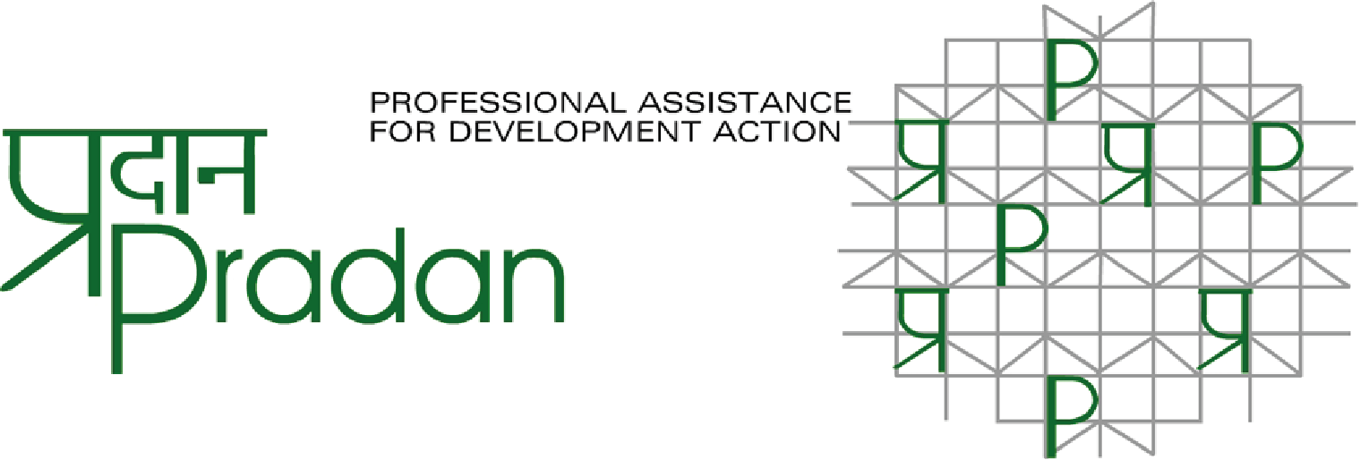 Professional Assistance for Development Action logo